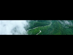 Desarrollo de la empresa en Colonia